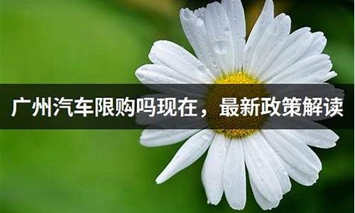 广州车辆限购,广州汽车限购政策2023规定