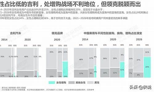 汽车厂商的竞争战略有哪些_汽车厂商的竞争战略有哪些类型