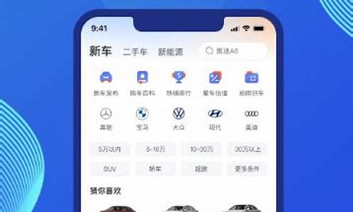 买汽车在哪个平台好,买汽车在哪个平台