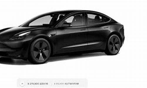 特斯拉一辆多少钱model3_特斯拉一辆多少钱